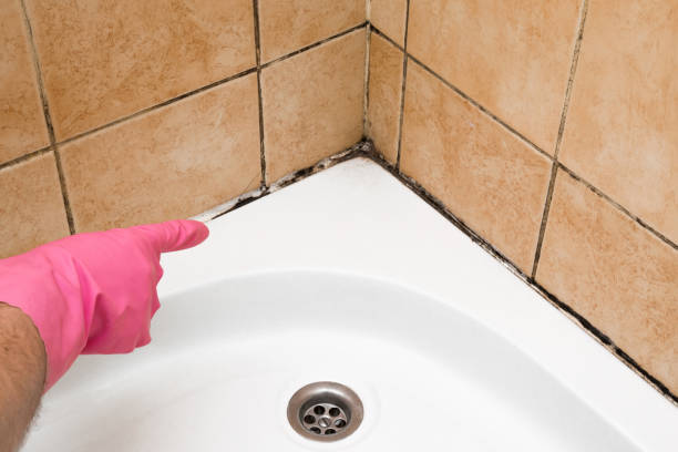 Best Mold Damage Repair  in Oakland, NJ
